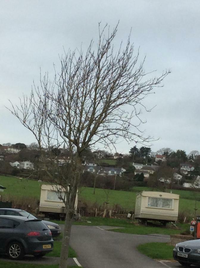 Tarka Park, 5a Campsite *